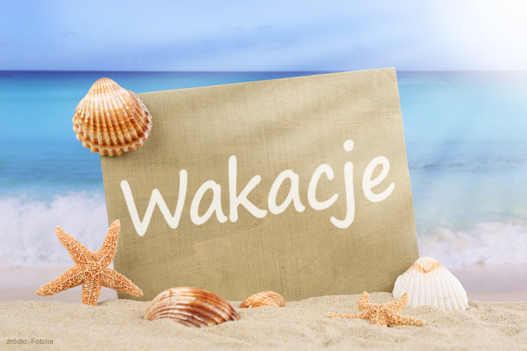 news ZAPRASZAMY NA OBOZY LETNIE W OKRESIE WAKACJI 2025!